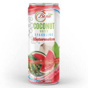 Best Quality 320ml canned coconut water sparkling watermelon