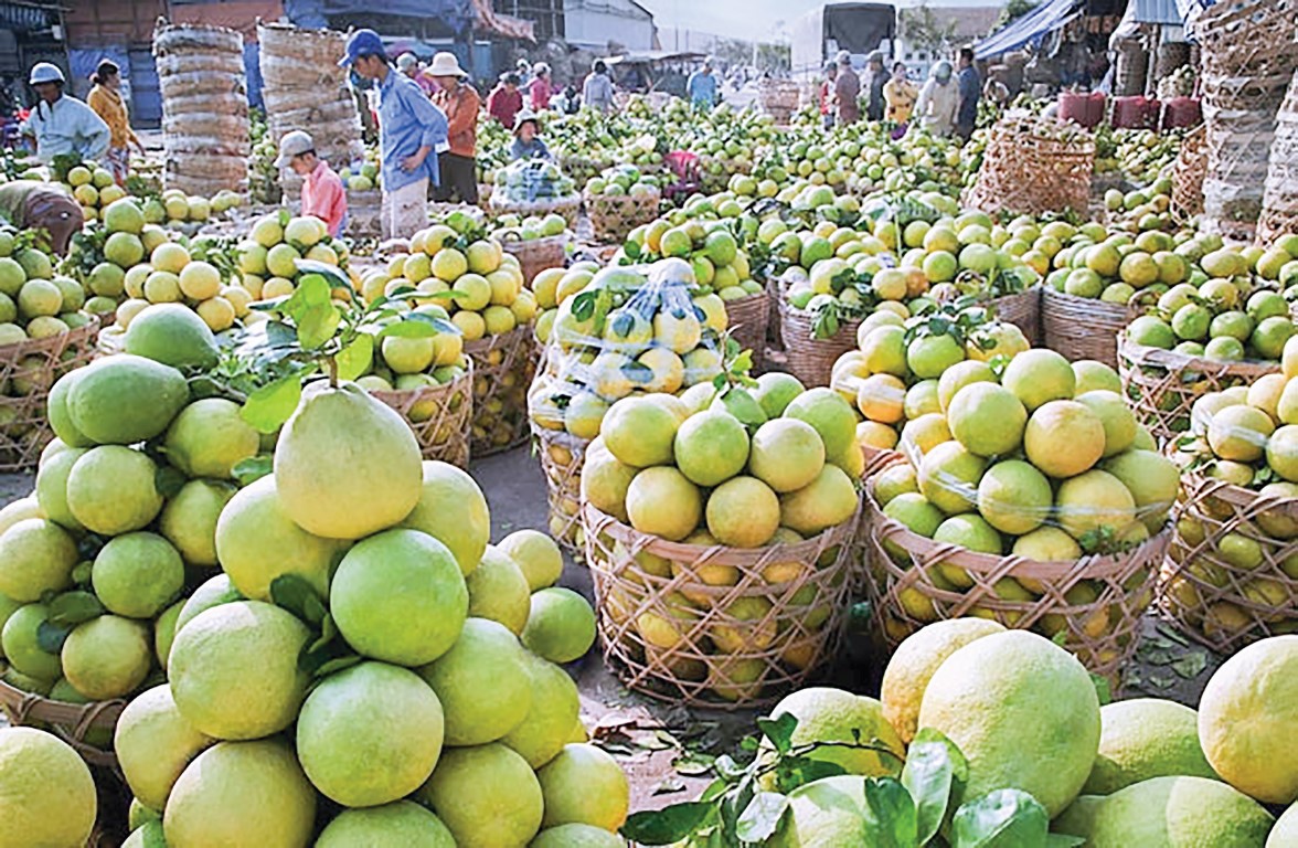 Vietnam Fruit exports to South Korea surge